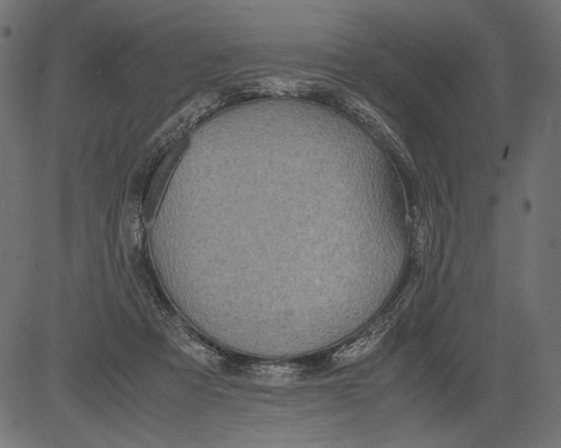 X0000081370313200702020212