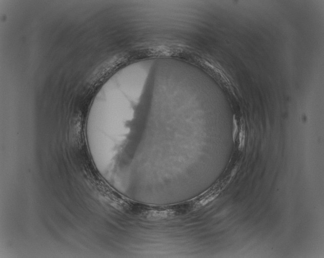 X0000081370314200702020212