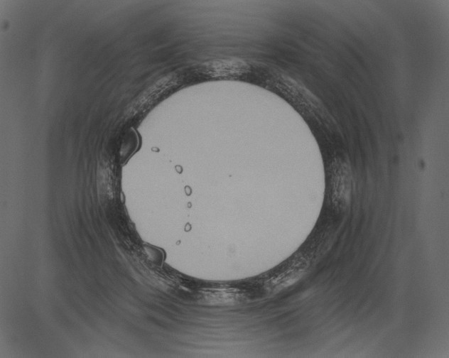 X0000081370316200702020212