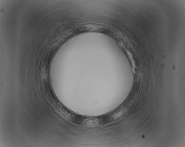 X0000081370317200702020212