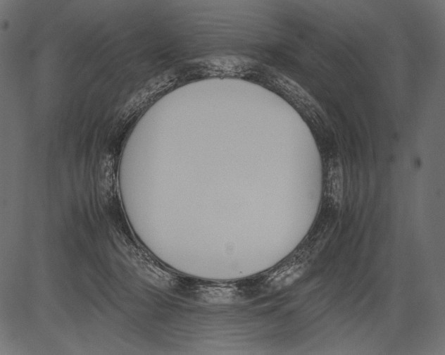 X0000081370318200702020212