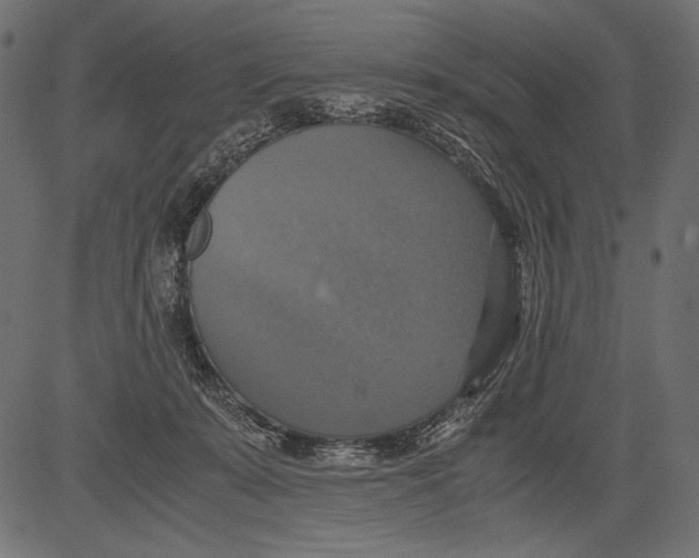 X0000081370319200702020211