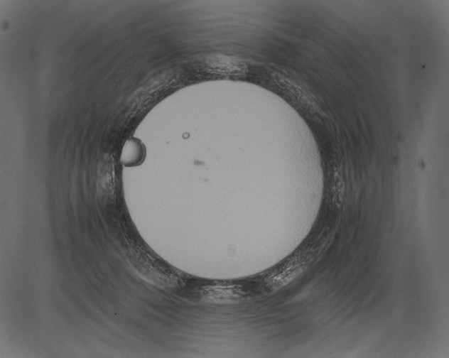 X0000081370320200702020211