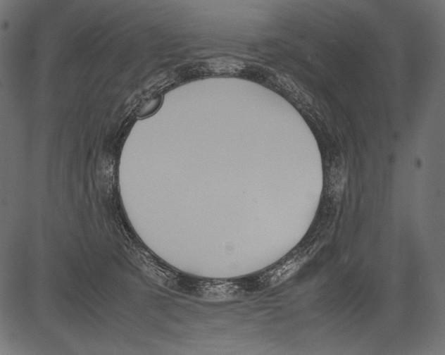 X0000081370321200702020211