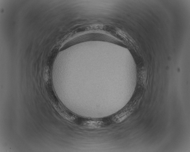 X0000081370323200702020211