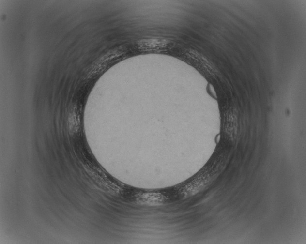 X0000081370324200702020211