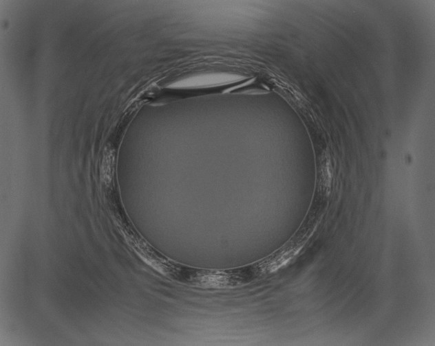 X0000081370325200702020211