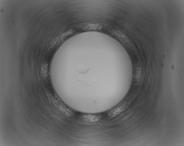 X0000081370326200702020211