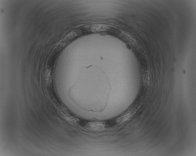 X0000081370327200702020211