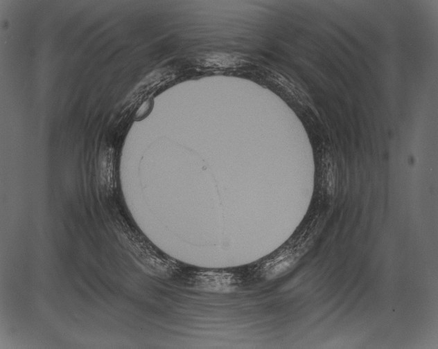 X0000081370328200702020211