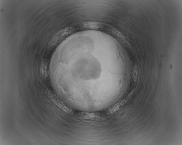 X0000081370330200702020211