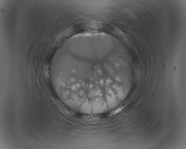 X0000081370331200702020211