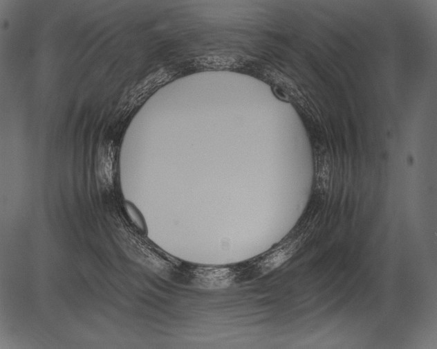 X0000081370334200702020211