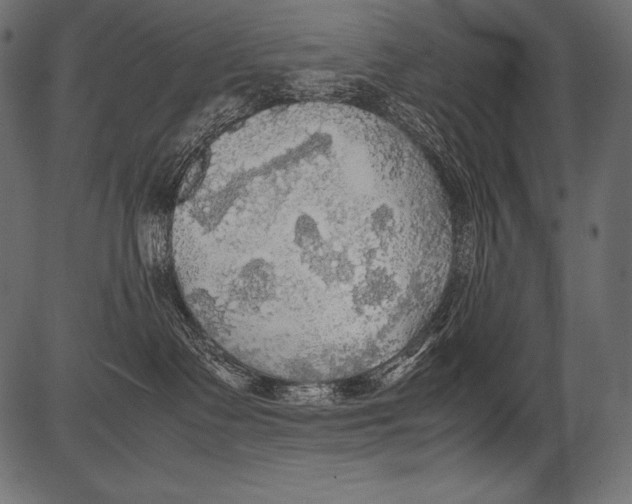 X0000081370335200702020211