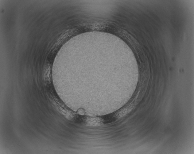 X0000081370336200702020211