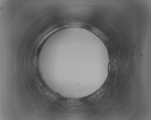 X0000081370338200702020210