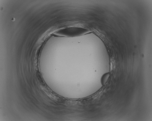 X0000081370339200702020210