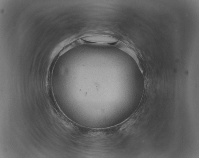 X0000081370340200702020210