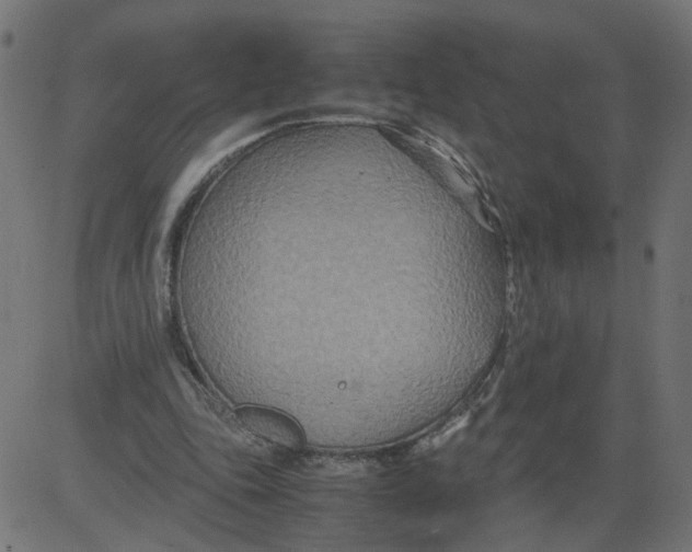 X0000081370343200702020211