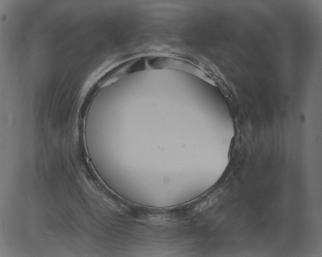 X0000081370344200702020211