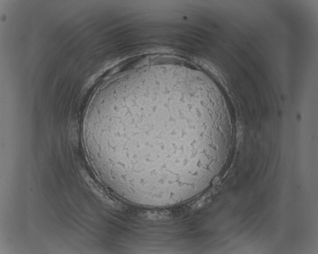 X0000081370345200702020211