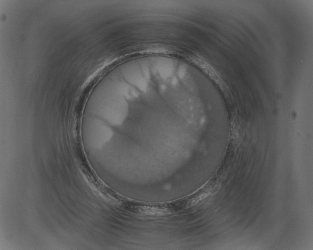 X0000081370347200702020211