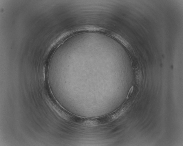 X0000081370350200702020211