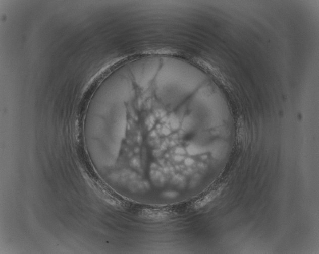 X0000081370351200702020211