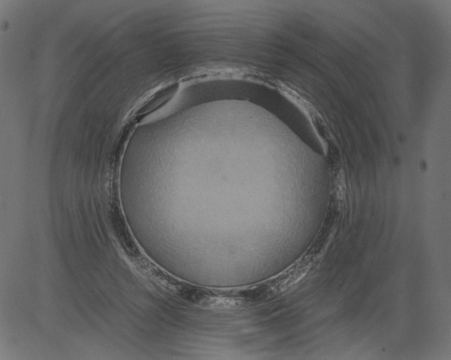 X0000081370352200702020211