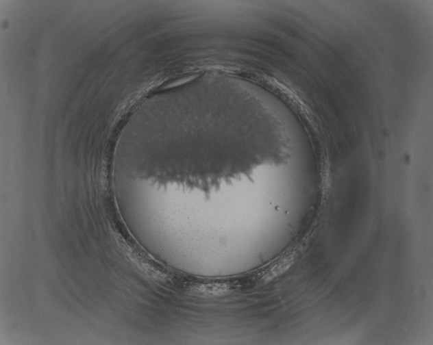 X0000081370353200702020211