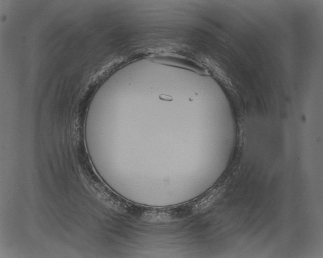 X0000081370354200702020211