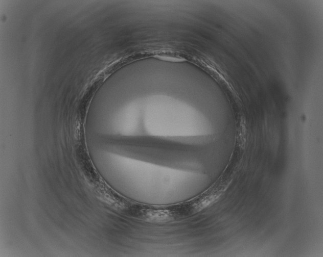 X0000081370355200702020211