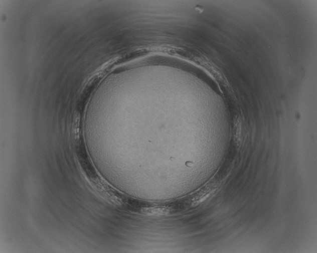 X0000081370356200702020211