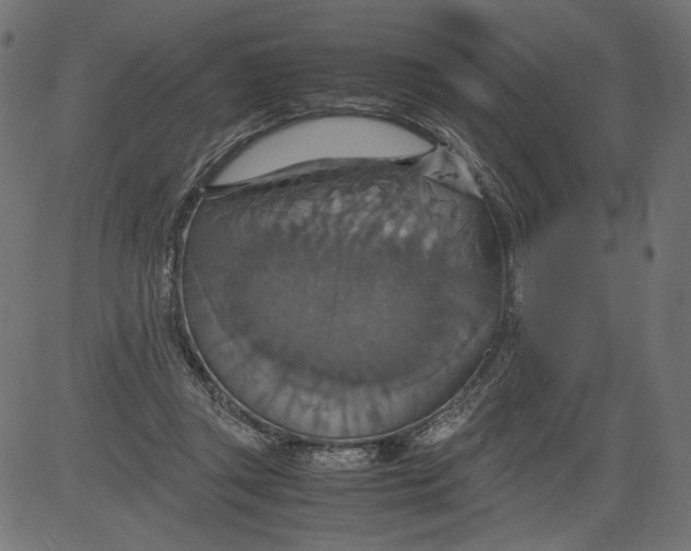 X0000081370357200702020211