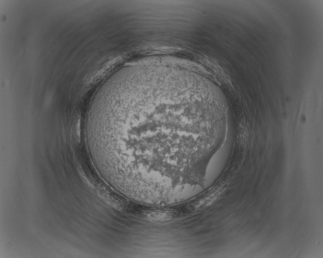 X0000081370358200702020211