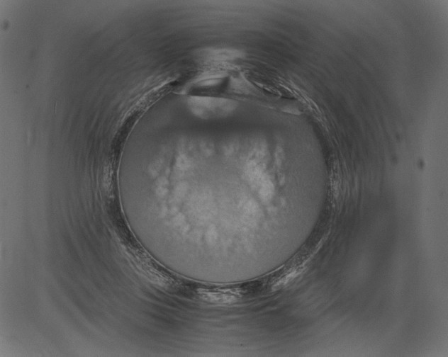 X0000081370359200702020211