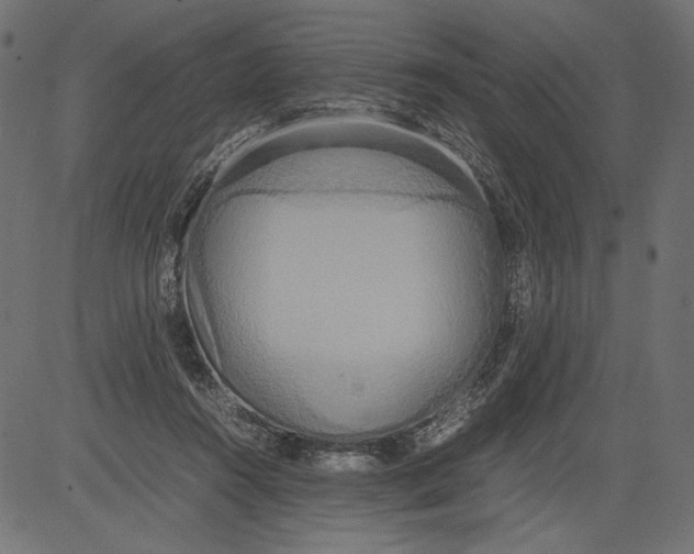 X0000081370360200702020211