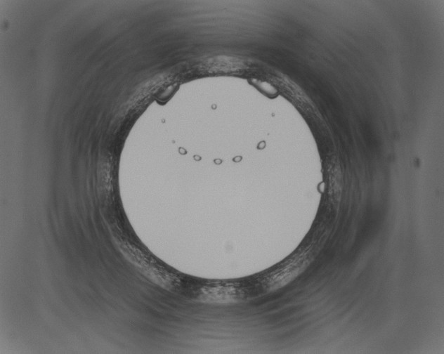 X0000081370362200702020211