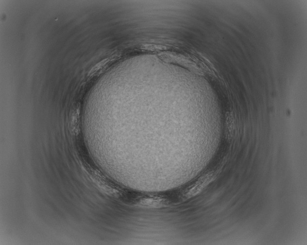 X0000081370364200702020211