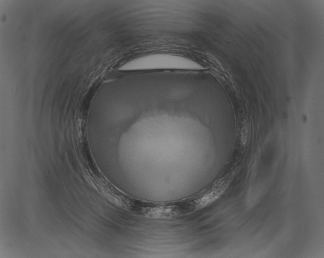 X0000081370366200702020211