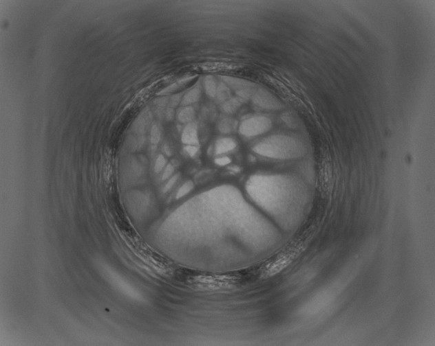 X0000081370367200702020211