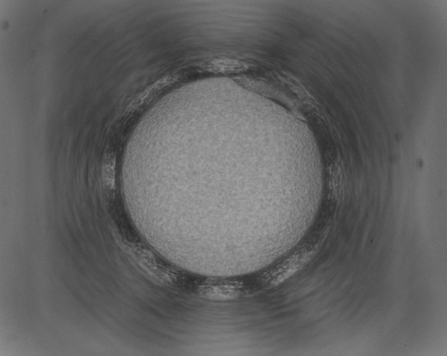 X0000081370368200702020211