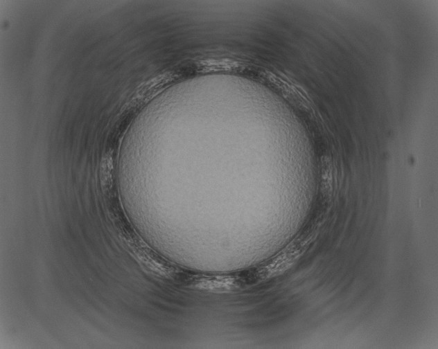 X0000081370369200702020211