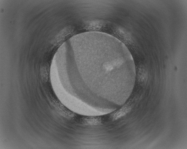 X0000081370370200702020211