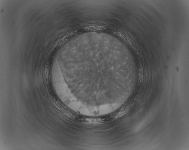 X0000081370371200702020211