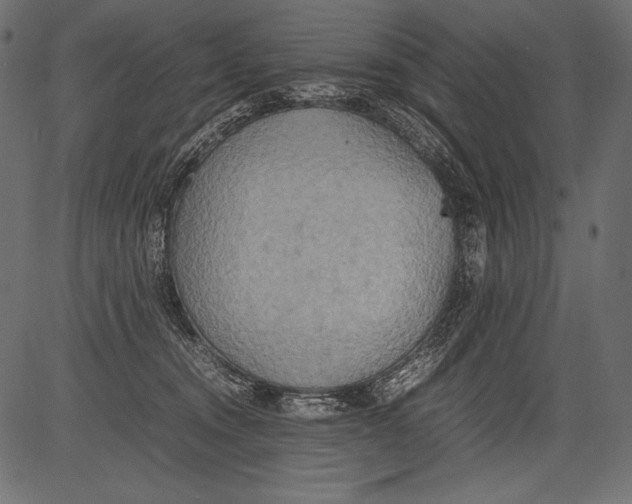 X0000081370372200702020211