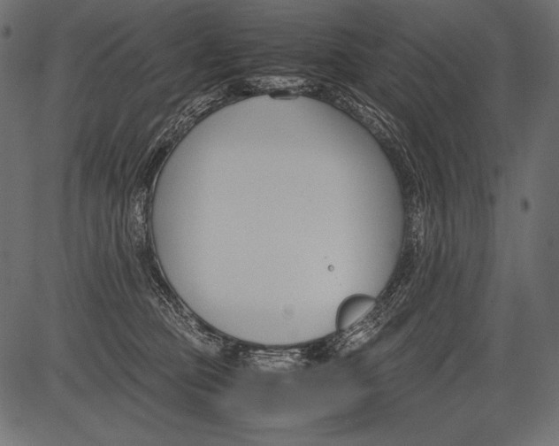 X0000081370373200702020211