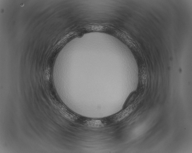 X0000081370374200702020211