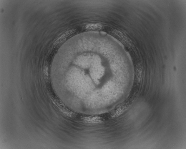 X0000081370375200702020211