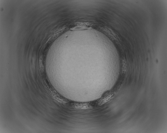 X0000081370377200702020211